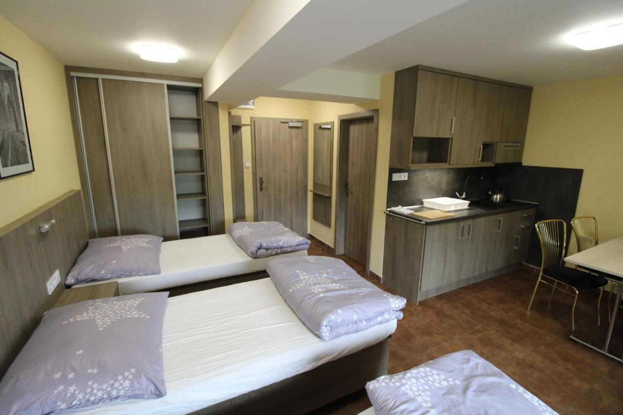 Borovec Hotel Sedlnice Exterior foto